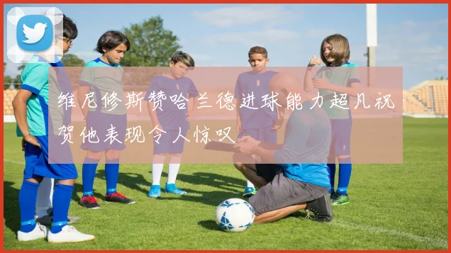维尼修斯赞哈兰德进球能力超凡祝贺他表现令人惊叹